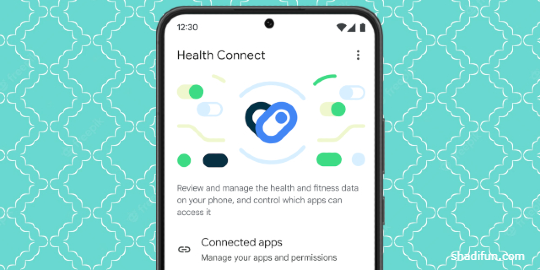 Health Connect app Data